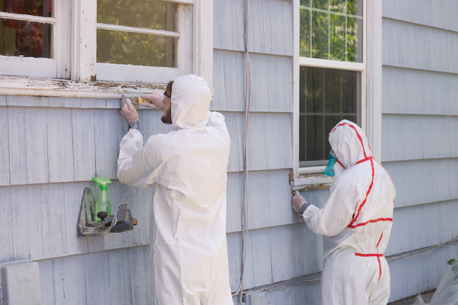 Two people in white protective clothing painting a house.