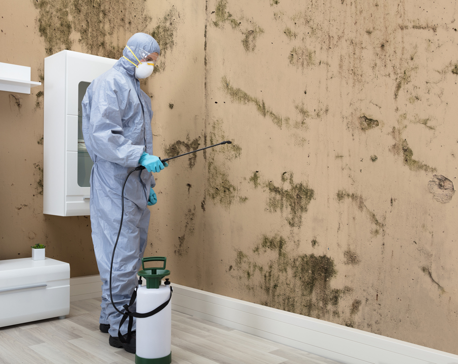 A man in a blue suit applies mold spray to a wall, demonstrating a cleaning or maintenance task.