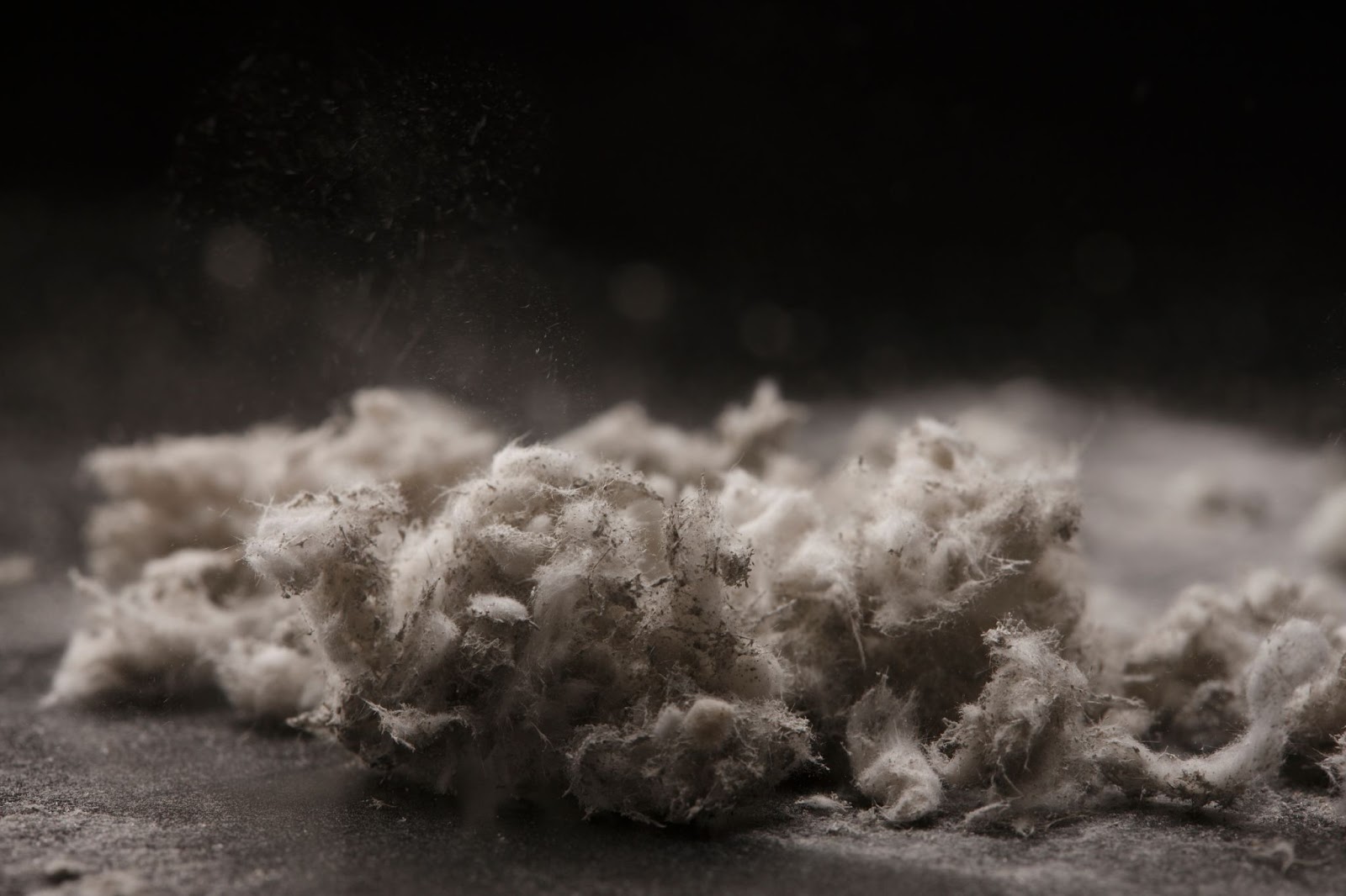 A pile of white wool displayed against a black background, symbolizing hazardous materials in asbestos removal contexts.