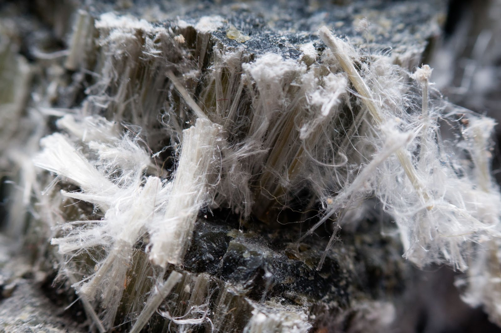 Close-up of a rock covered in white and gray dust, highlighting potential asbestos exposure risks.